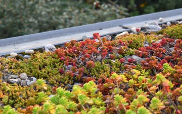 the cost of Gilchriston green roof installation