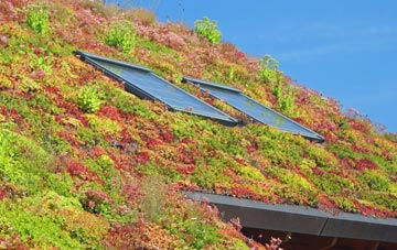 Gilchriston living roof systems