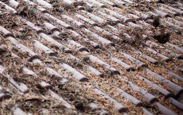 Gilchriston roof cleaning companies