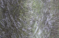 Gilchriston fibreglass roof work